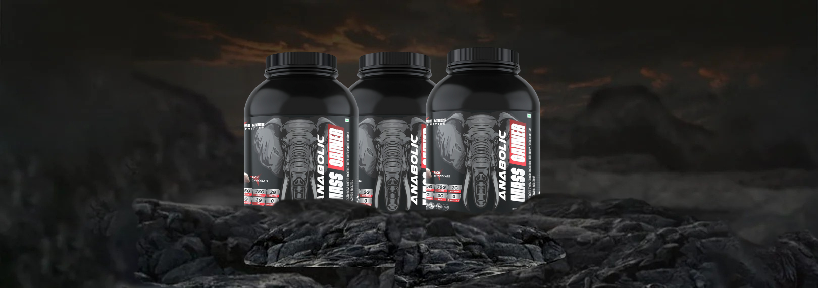 Mass Gainer